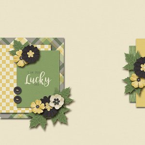 Lucky One