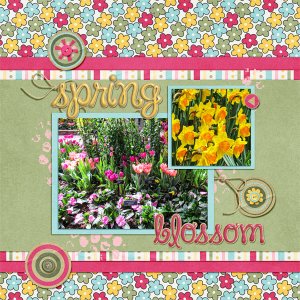 April 2017 Template Challenge1
