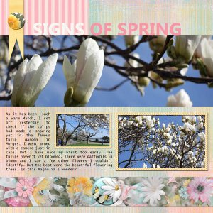 Signs of Spring
