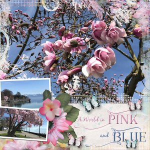 A_World_in_Pink_and_Blue