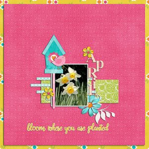 bloom