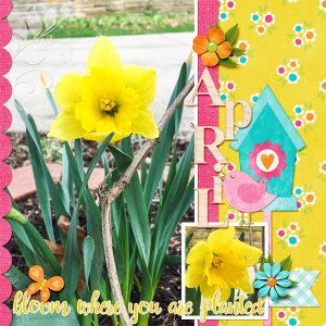 #2017 Challenge - April