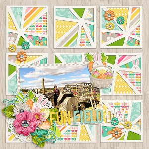 Fun Field