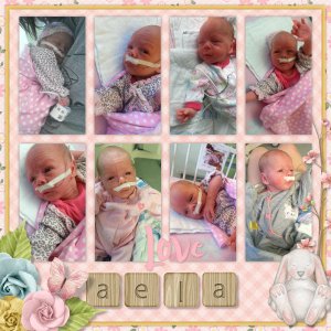 Aela