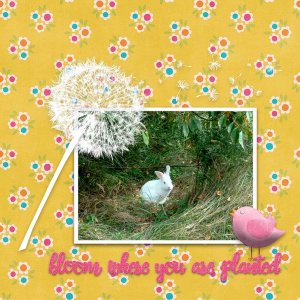 Blooming Bunny