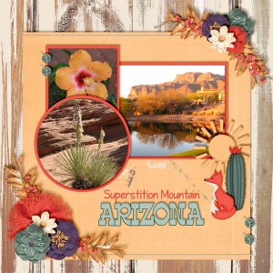 Arizona