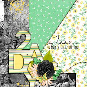 2Day