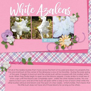 White Azaleas