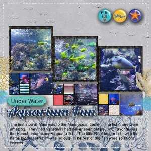 Underwater Aquarium Fun