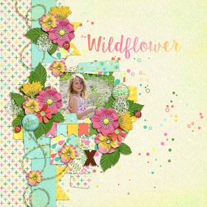 Wildflower