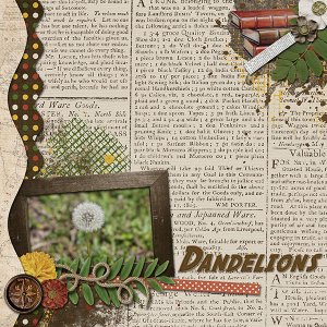 Dandelions