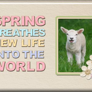 Spring