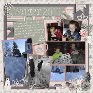 2015 Winter