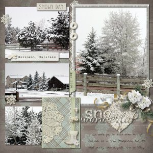 Snow Wonderful