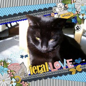 Feral Love