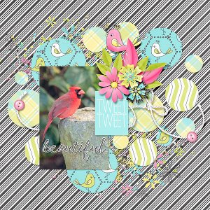 Tweet Tweet