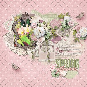 Spring Flowers