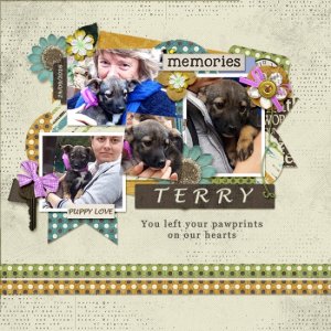 Terry