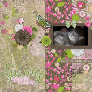 Spring Renewal