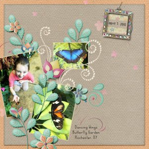 butterfly garden