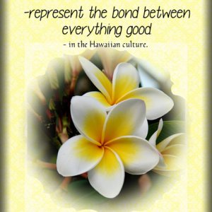 ATC 2017-51 Plumeria
