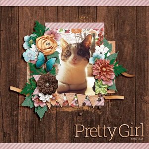 pretty Girl