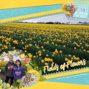 March-DaffodilsWEB