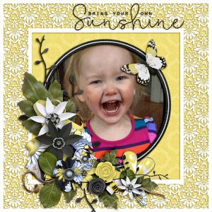 Bring-your-own-sunshine