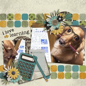 I Love Learning