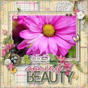 Spring Beauty