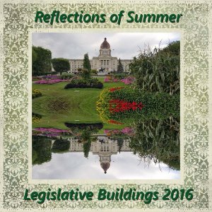 Summer Reflections