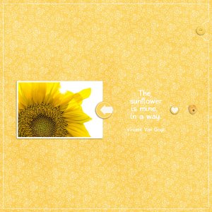 sunflowers