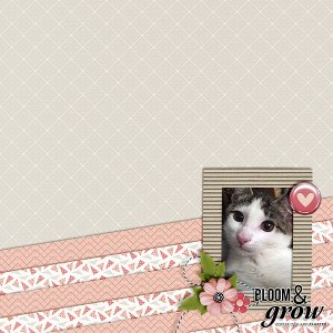 bloom