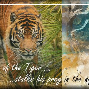 ATC 2017-53 Eye of the Tiger