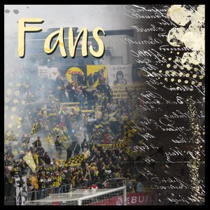 Fans