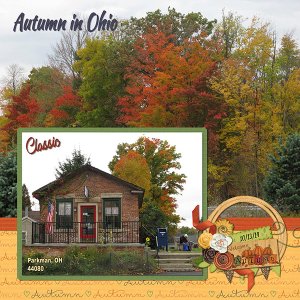 Autumn in Ohio