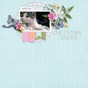 Our honey bunny