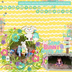 4_2009_Bunny_Nest