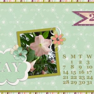 Desktop May-17