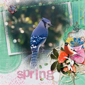 Spring