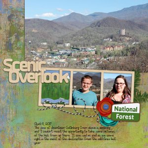 Scenic Overlook