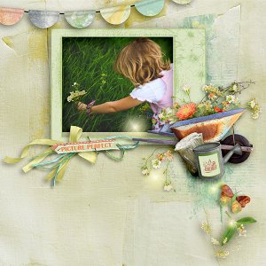 Picking Flowers