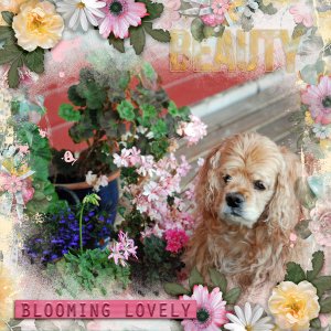 Blooming-lovely2