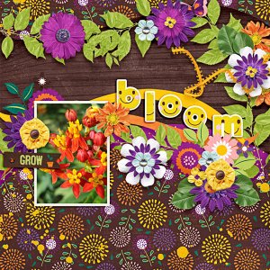 grow + bloom