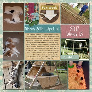 2017 Week 13 - March 26th - April 1st