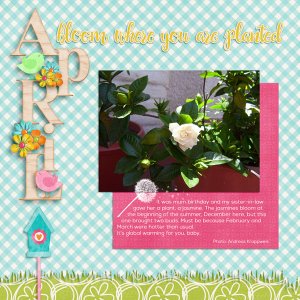 2017-04 Connie Prince Mini kit Challenge