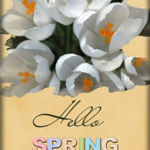 ATC 2017-56 Hello Spring