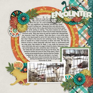 Close Encounter
