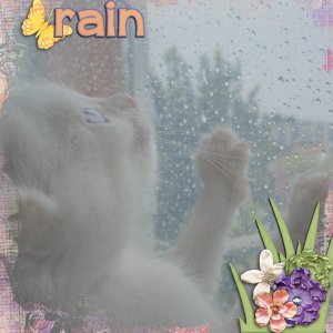 Rain