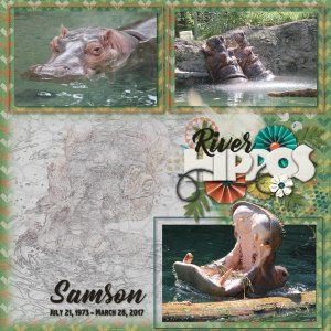 Kingdom Of Animals